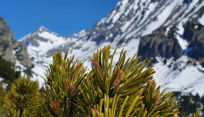 Hotel CROCUS **** Vysoké Tatry